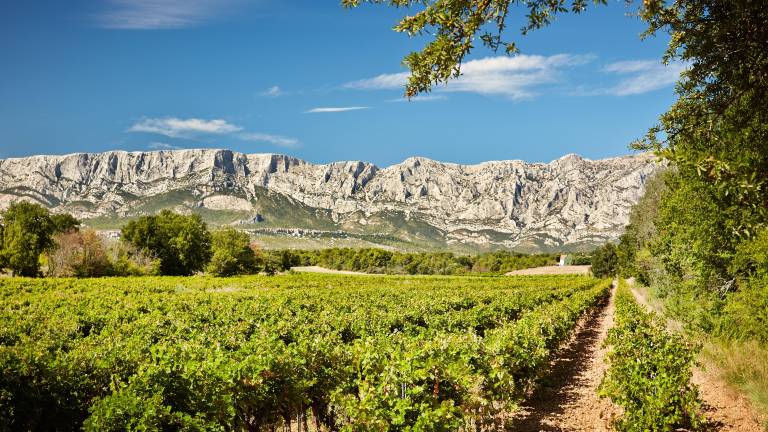 Le cru Sainte-Victoire va concerner Meyreuil, Le Tholonet, Châteauneuf-le-Rouge, Puyloubier, Rousset, Peynier, Trets, Pourrières et Pourcieux. Ici au pied de la Ste-Victoire. PHOTO Serge Chapuis Le cru Sainte-Victoire va concerner Meyreuil, Le Tholonet, Châteauneuf-le-Rouge, Puyloubier, Rousset, Peynier, Trets, Pourrières et Pourcieux. Ici au pied de la Ste-Victoire. PHOTO Serge Chapuis